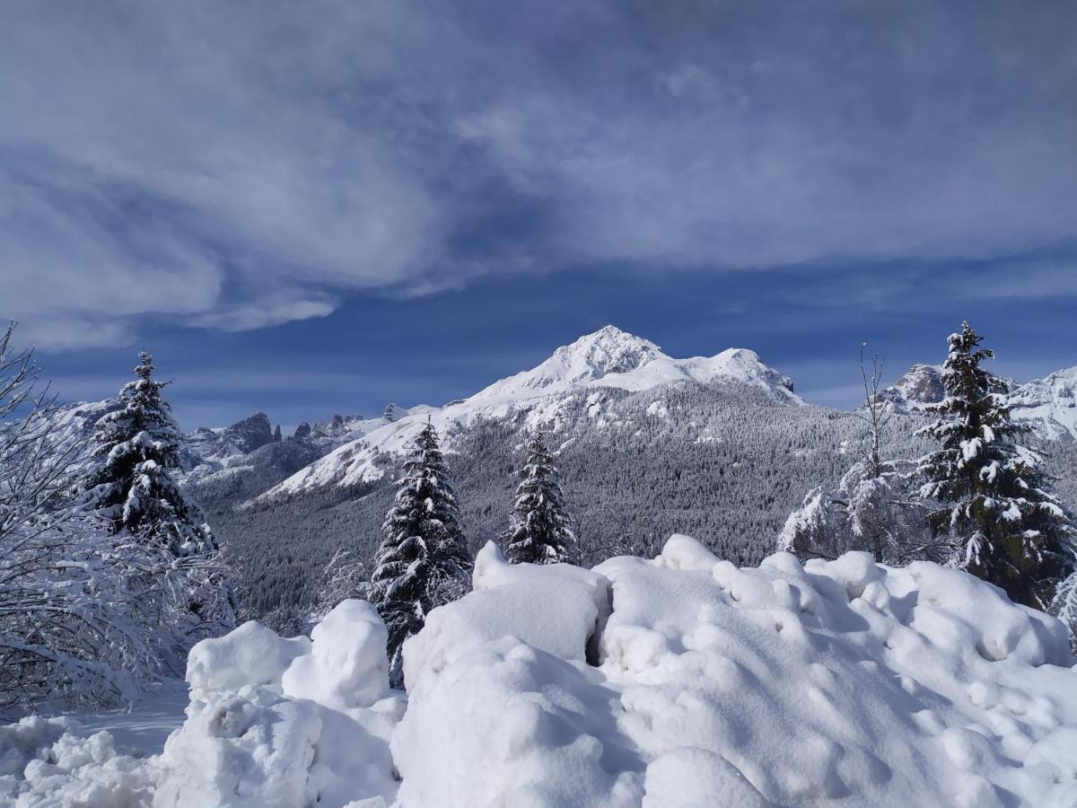 Appartamenti La Val Andalo Bagian luar foto