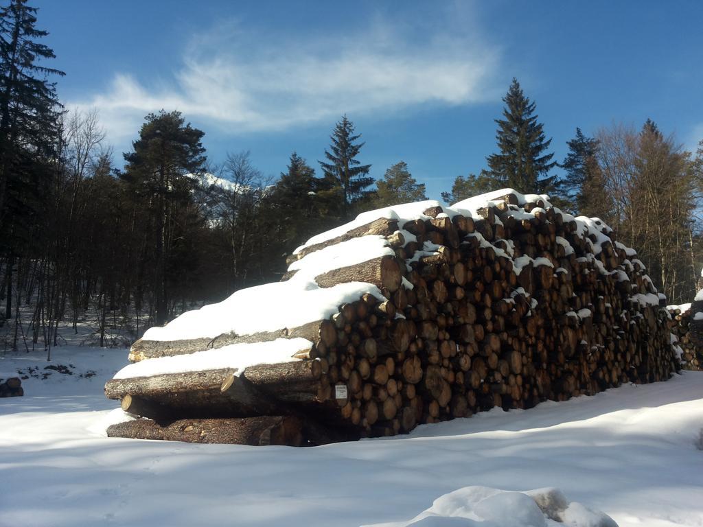 Appartamenti La Val Andalo Bagian luar foto