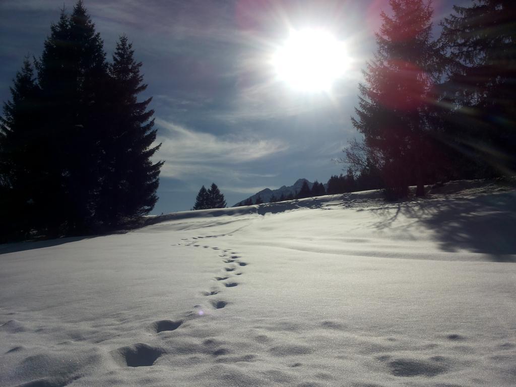 Appartamenti La Val Andalo Bagian luar foto