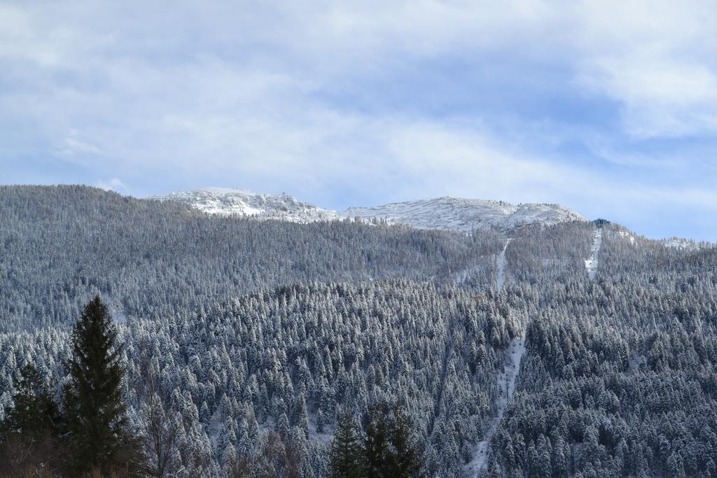Appartamenti La Val Andalo Bagian luar foto